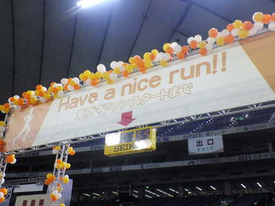 NEC_0078.jpg